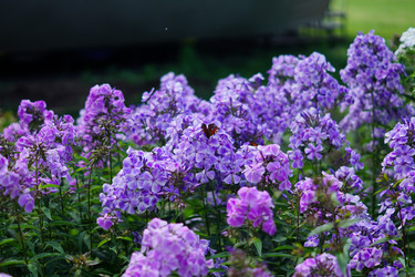 Similar image 21093326