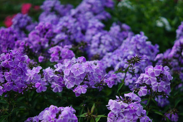 Similar image 21093327