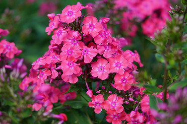 Similar image 21093331