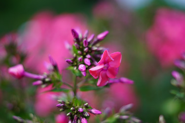 Similar image 21098077