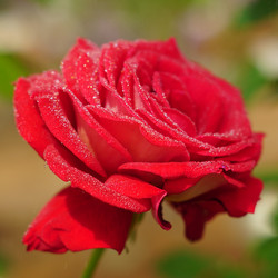 Similar image 21098078