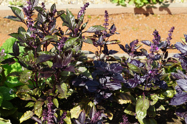 Similar image 21098080