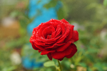 Similar image 21098951