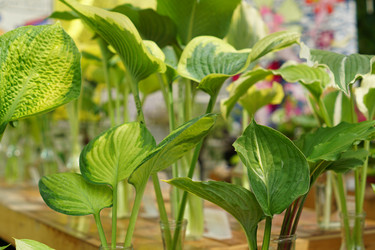 Similar image 21099490