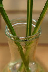 Similar image 21099491