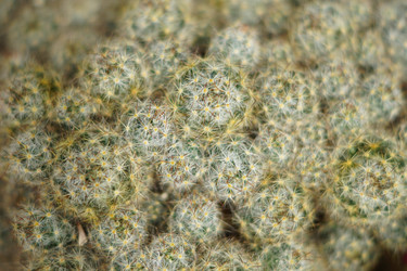 Similar image 21099493