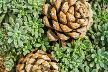 Similar image 21099692