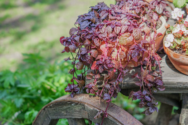 Similar image 21099698