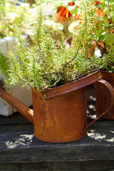 Similar image 21099699