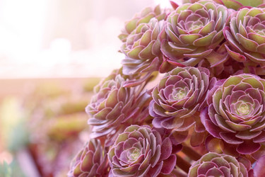 Similar image 21098084