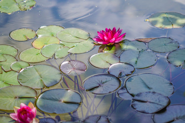 Similar image 21098500