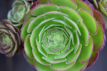 Similar image 21098503