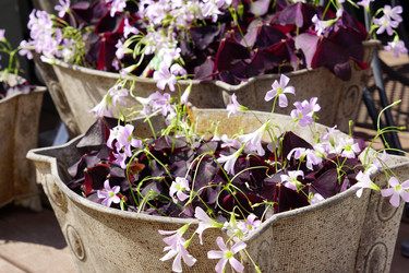 Similar image 21098509