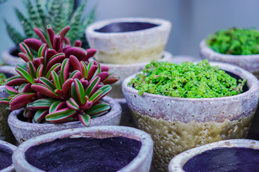 Similar image 21098510