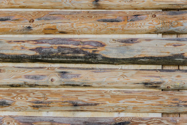 Similar image 21098645