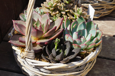 Similar image 21098646