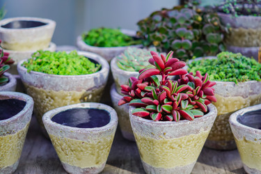 Similar image 21098647