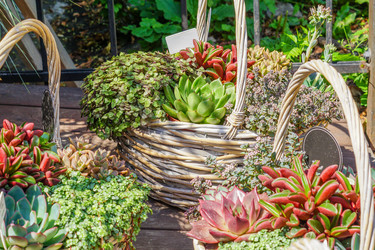 Similar image 21098650