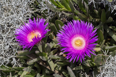 Similar image 21079576