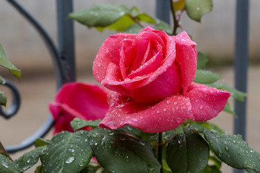 Similar image 21094662