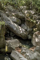 Similar image 21087550