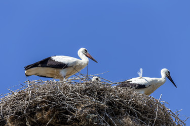 Similar image 21094663