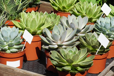 Similar image 21099499