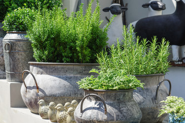 Similar image 21099501