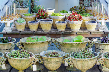 Similar image 21099700