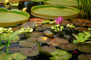 Similar image 21099701