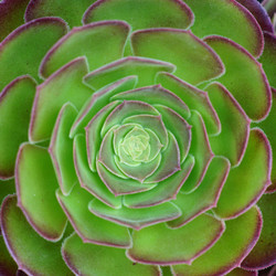 Similar image 21099702