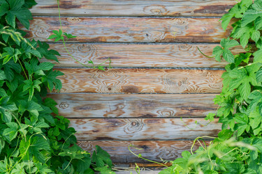 Similar image 21099706