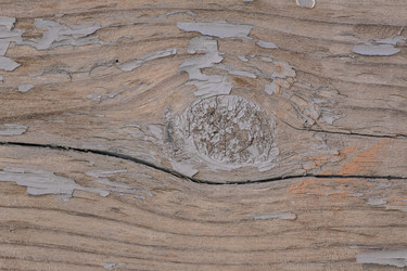 Similar image 21099707