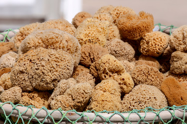 Similar image 21081424