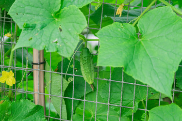 Similar image 21098804