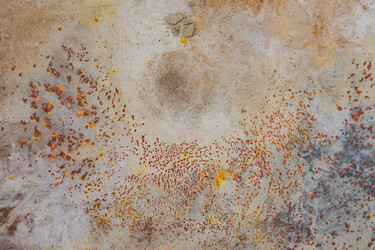 Similar image 21098806