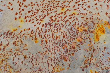 Similar image 21098807