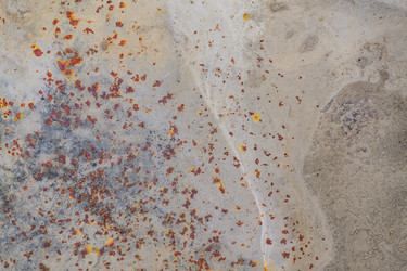 Similar image 21098814