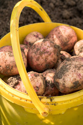 Similar image 21098818