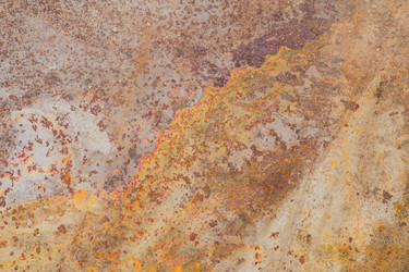 Similar image 21098819