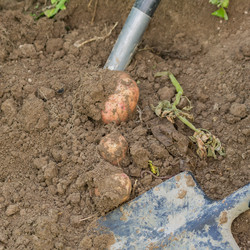 Similar image 21098829