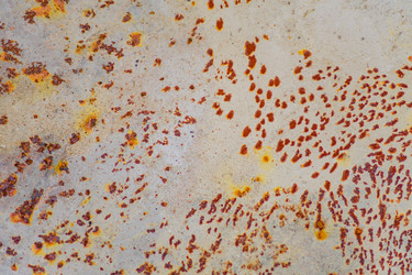 Similar image 21098832