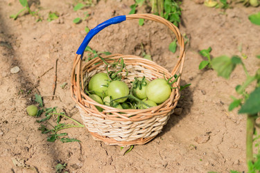 Similar image 21098835