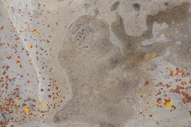 Similar image 21098837