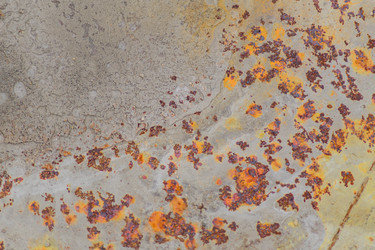 Similar image 21098840