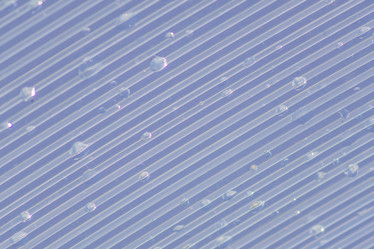 Similar image 21099718