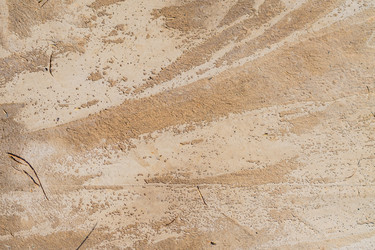 Similar image 21097226