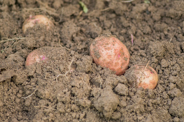 Similar image 21097362