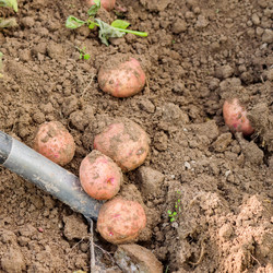 Similar image 21097364