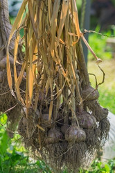 Similar image 21097382